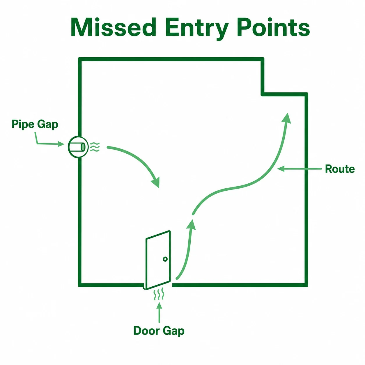 Graphic showing cockroach entry points and routes