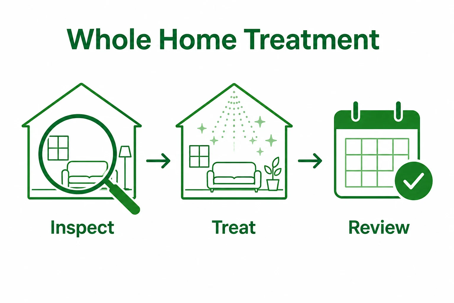 Graphic showing inspection, treatment and review for flea control.