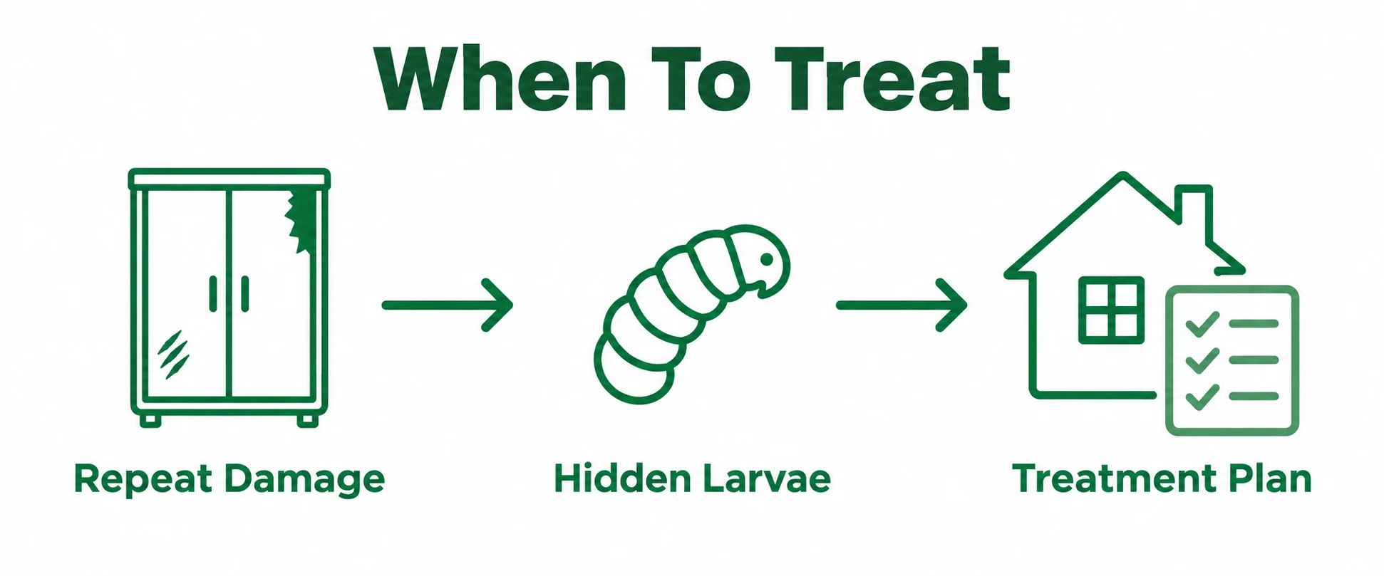 Graphic explaining signs that professional moth treatment may be needed.