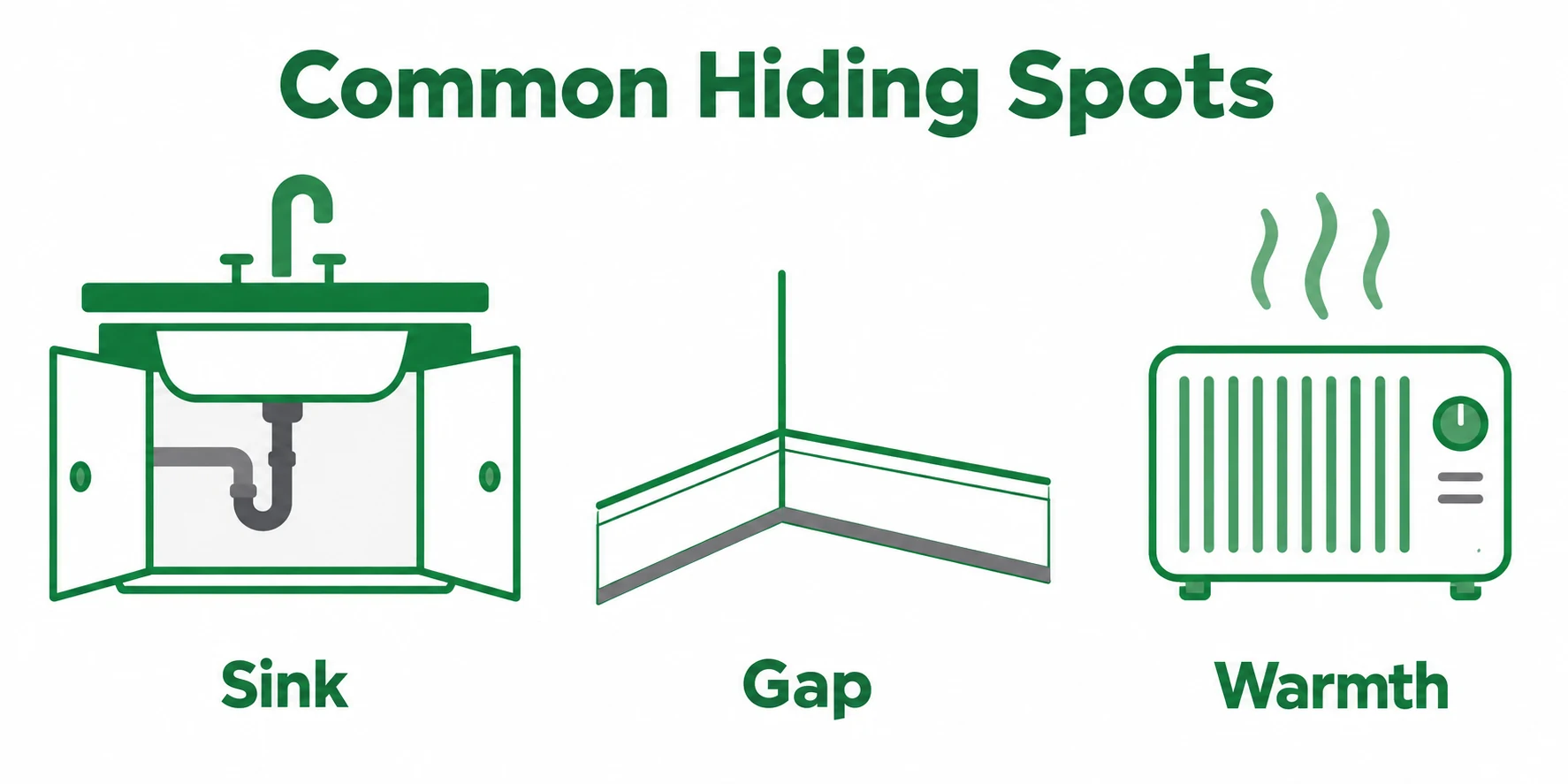 Graphic showing common cockroach hiding spots