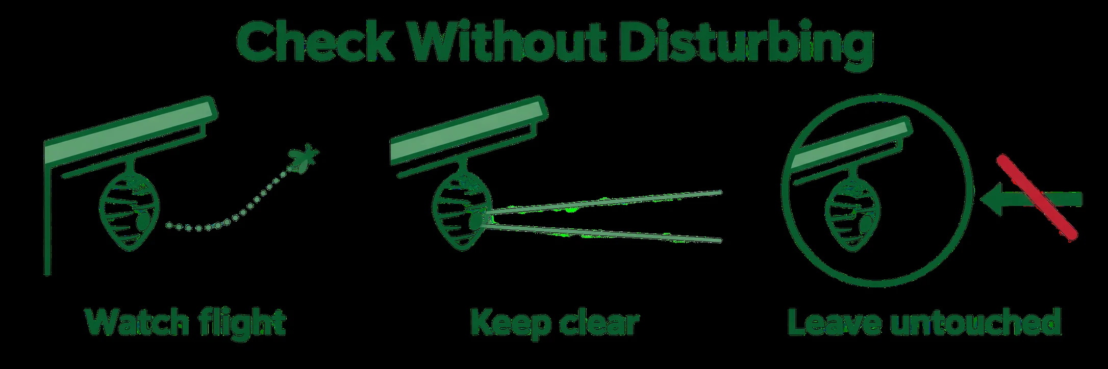 Three illustrated reminders: watch flight, keep clear and leave the nest untouched.